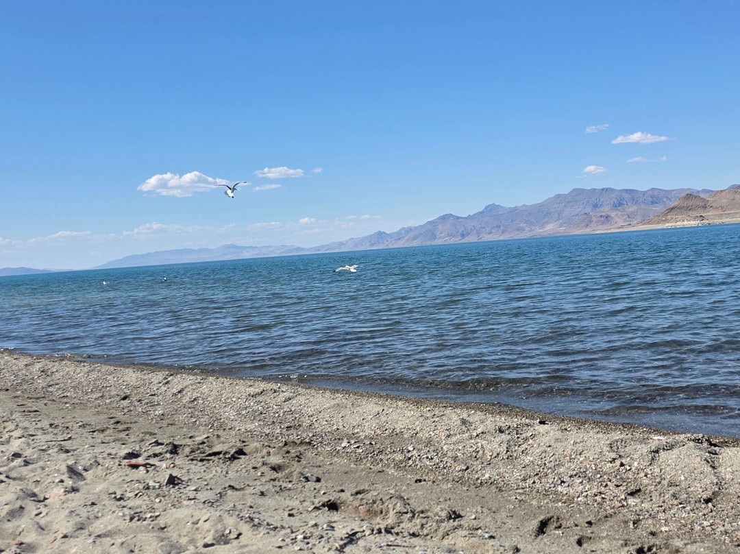 Pyramid Lake-内华达必去景点