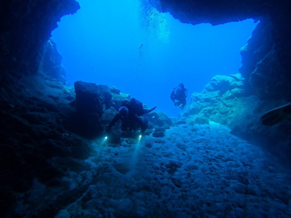 Salt Water Divers-埃尔穆波利必去景点
