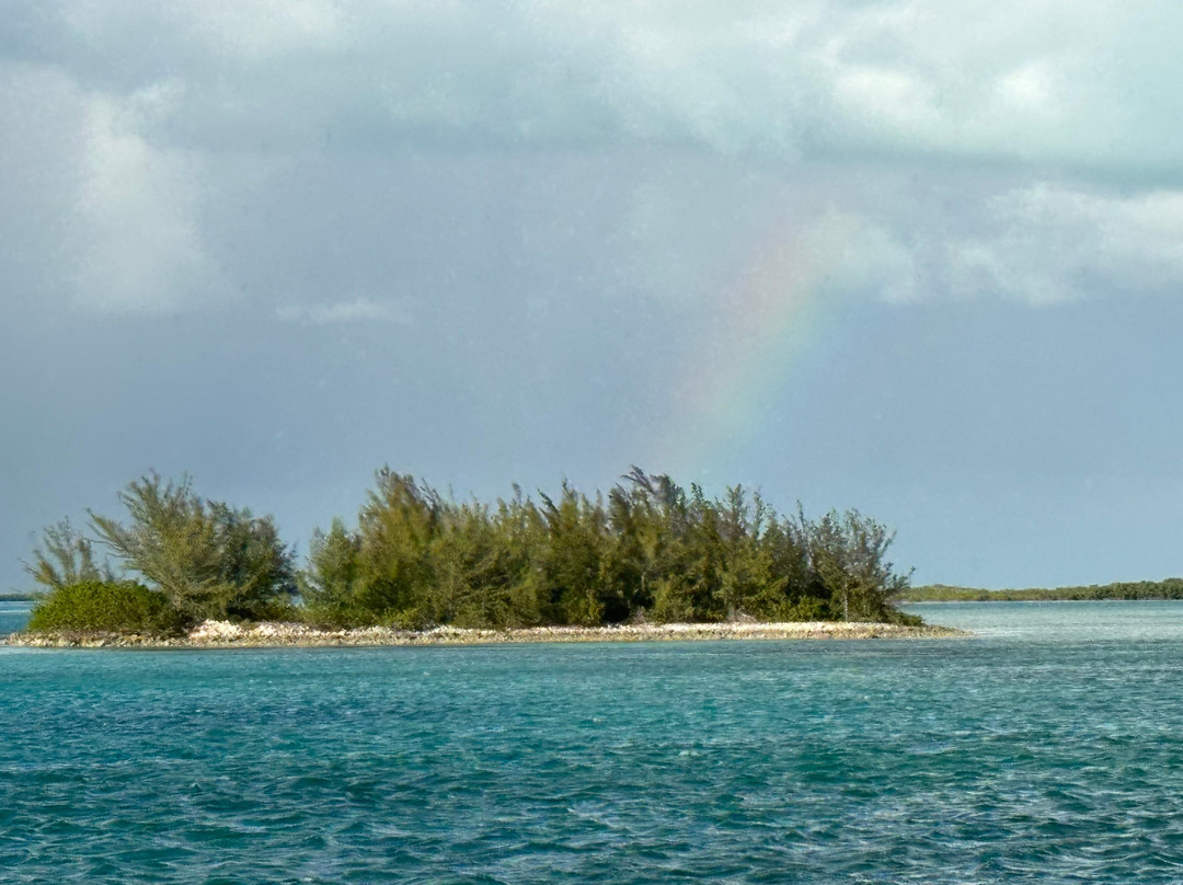 Caicos Dream Tours-普罗维登西亚莱斯必去景点