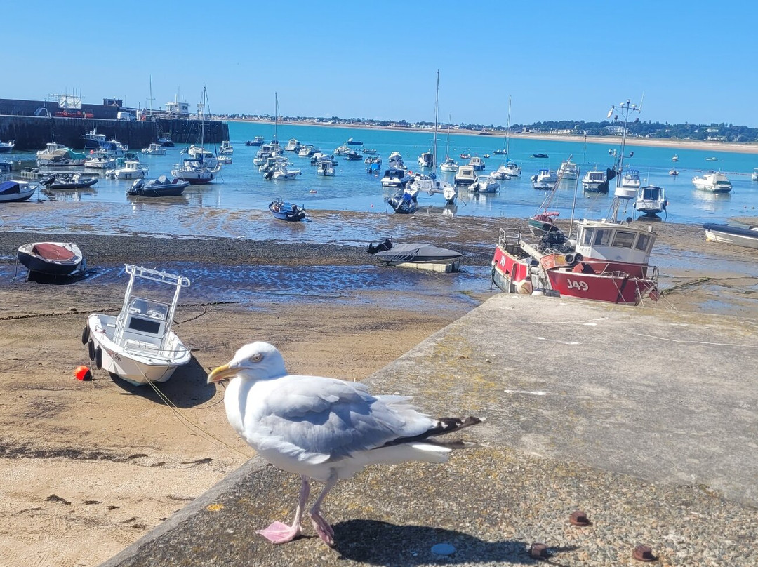 Gorey Harbour-St. Martin必去景点