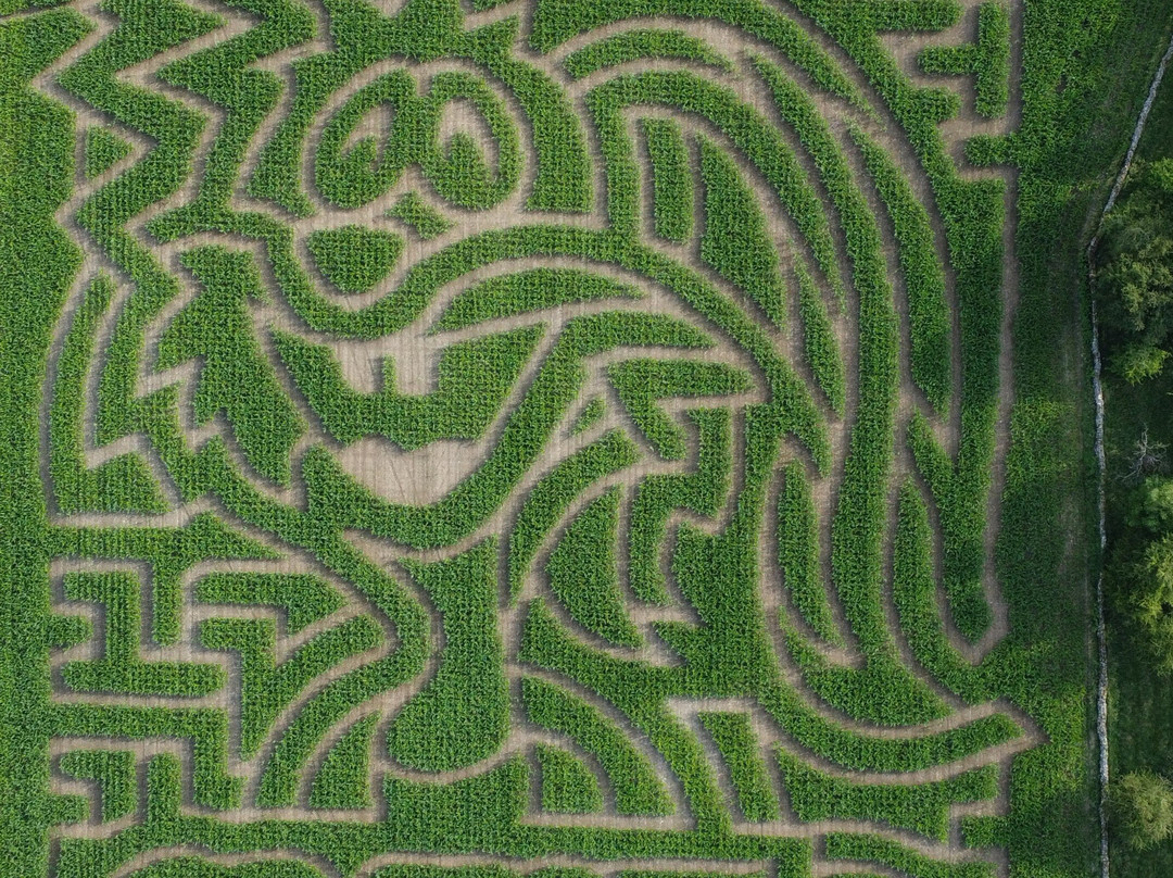 Lakeland Maze Farm Park-肯德尔必去景点