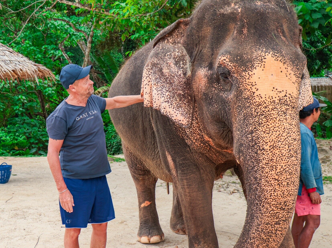 Green Elephant Sanctuary Park-呈塔累必去景点