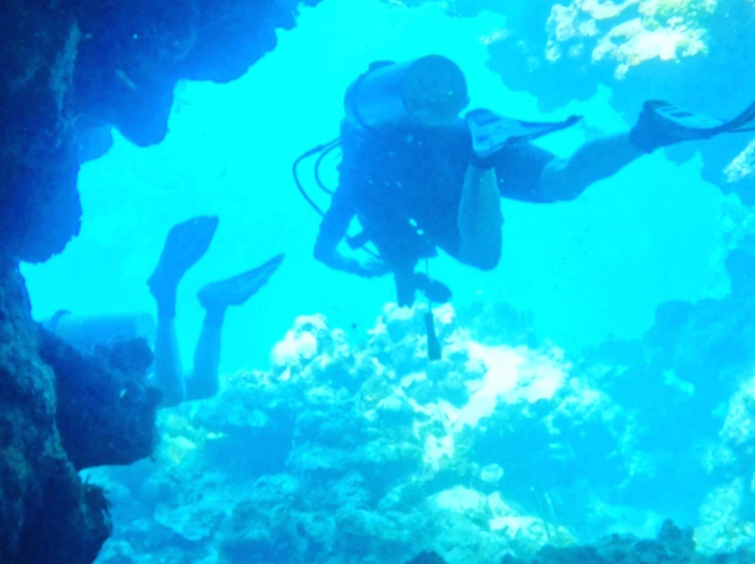 帆鱼潜水-拉哥岛必去景点