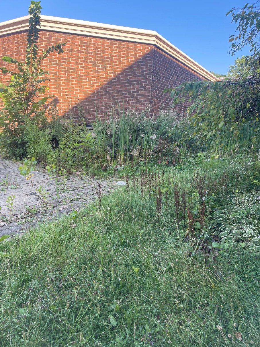 Wyndham Independence-酒店景观