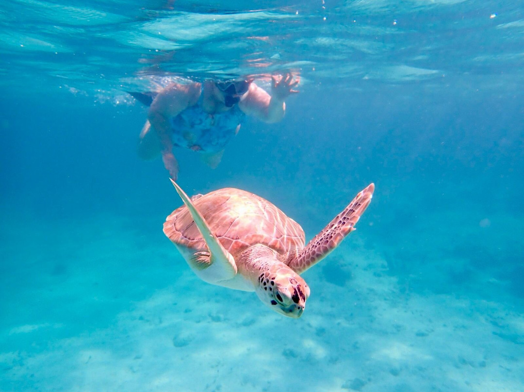Valentine's Dive Center-哈勃岛必去景点