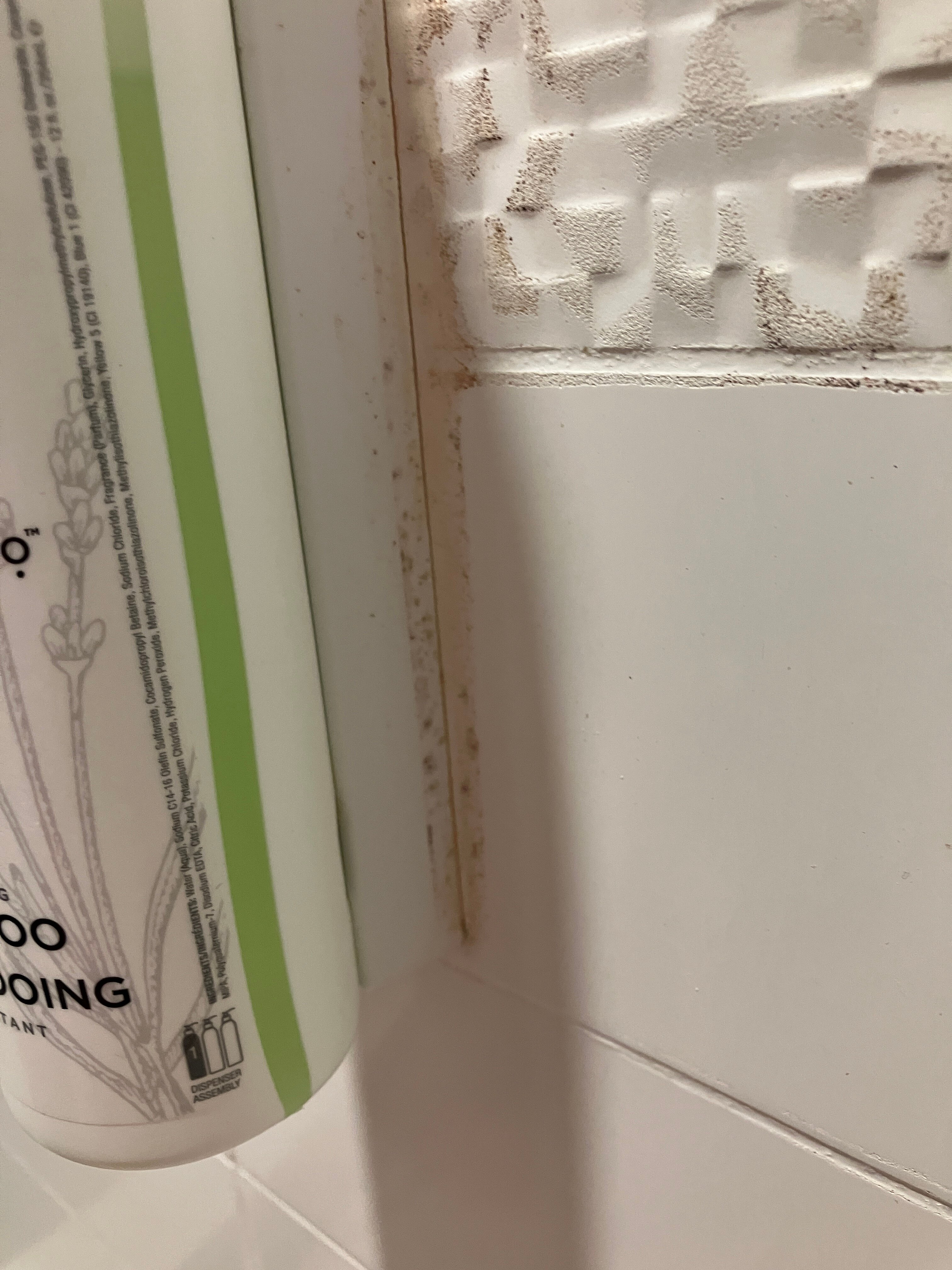 Fairfield by Marriott Inn & Suites Knoxville Turkey Creek-官方