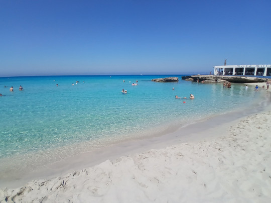 B&B Il Corbezzolo主图