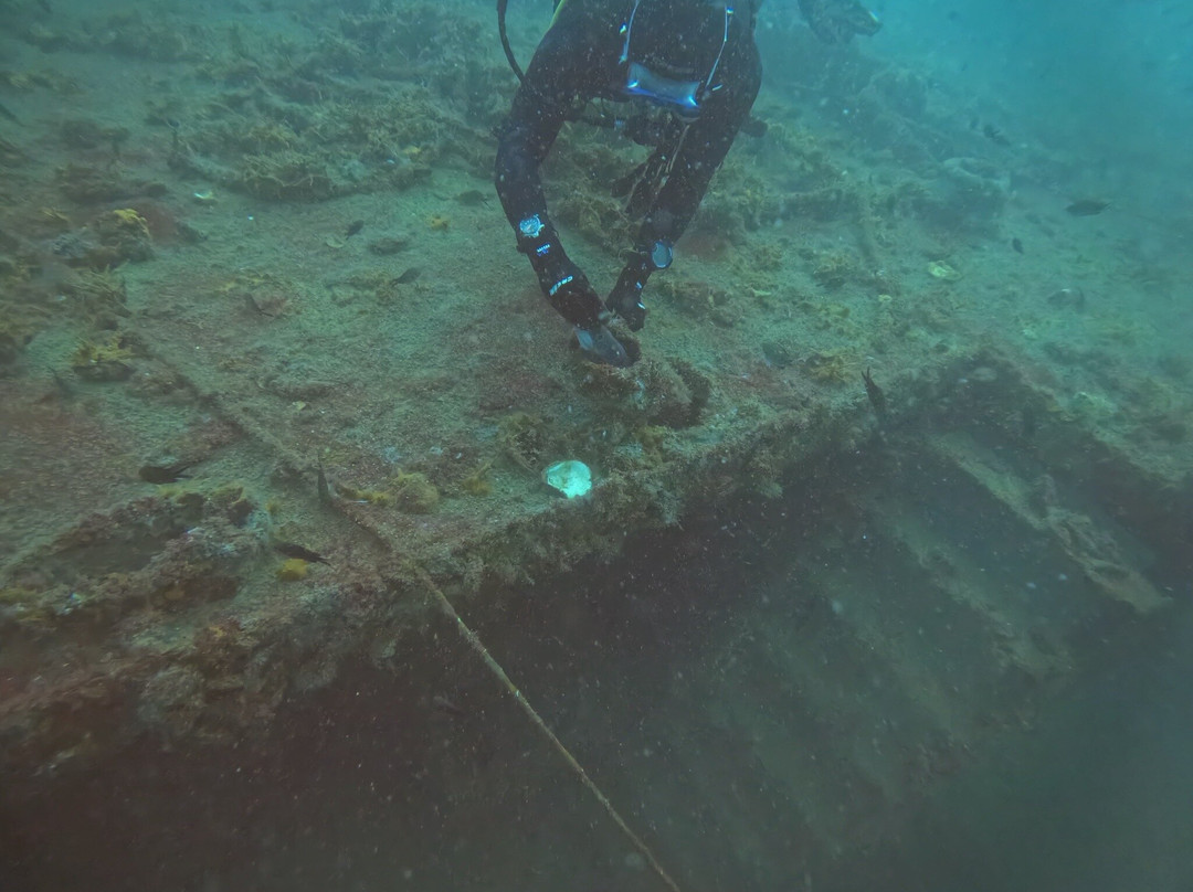 Isamar Diving Center-基奥贾必去景点