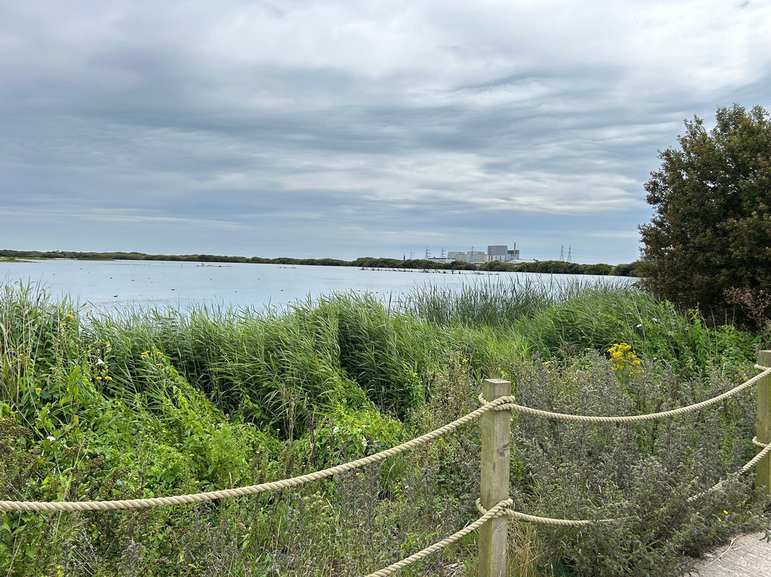 RSPB Dungeness-Dungeness必去景点