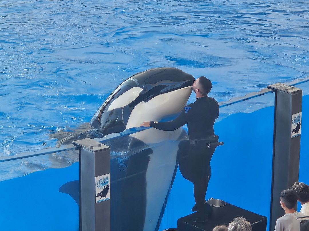 Tenerife Trips - Day Tours-奥德杰海岸必去景点