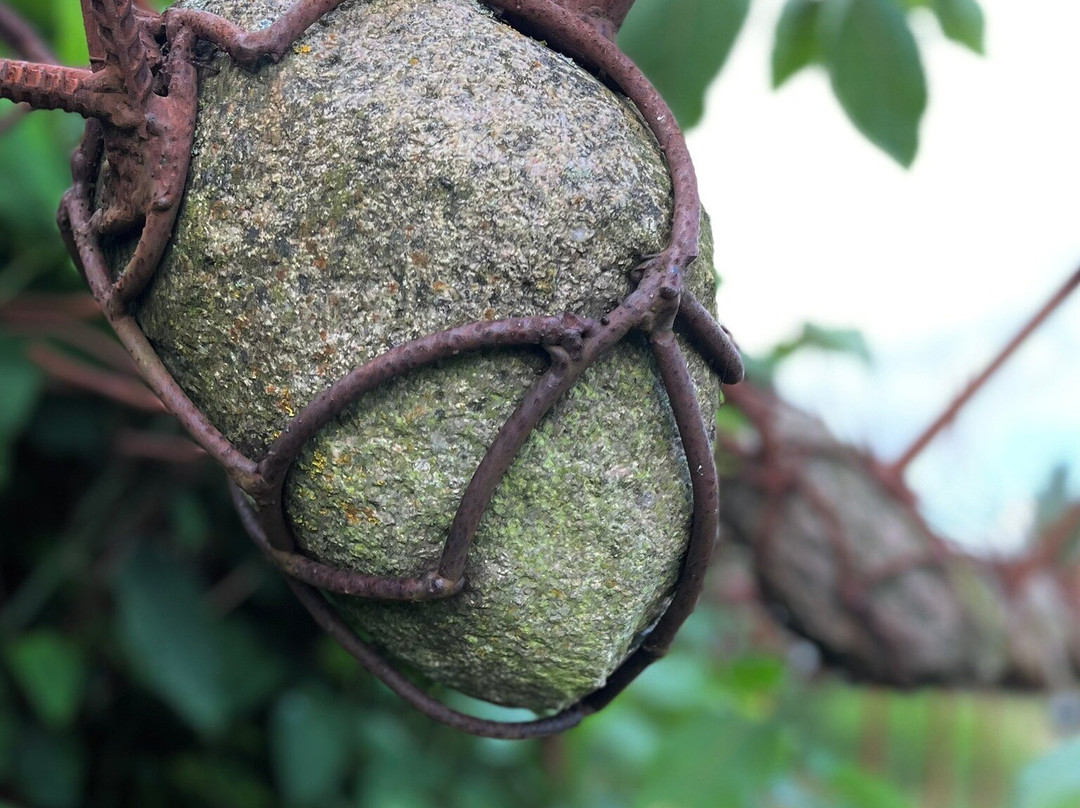 Skulpturenpark Katzow-Wolgast必去景点