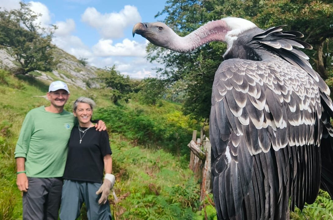Wings Of Wales-布雷肯比肯斯国家公园必去景点