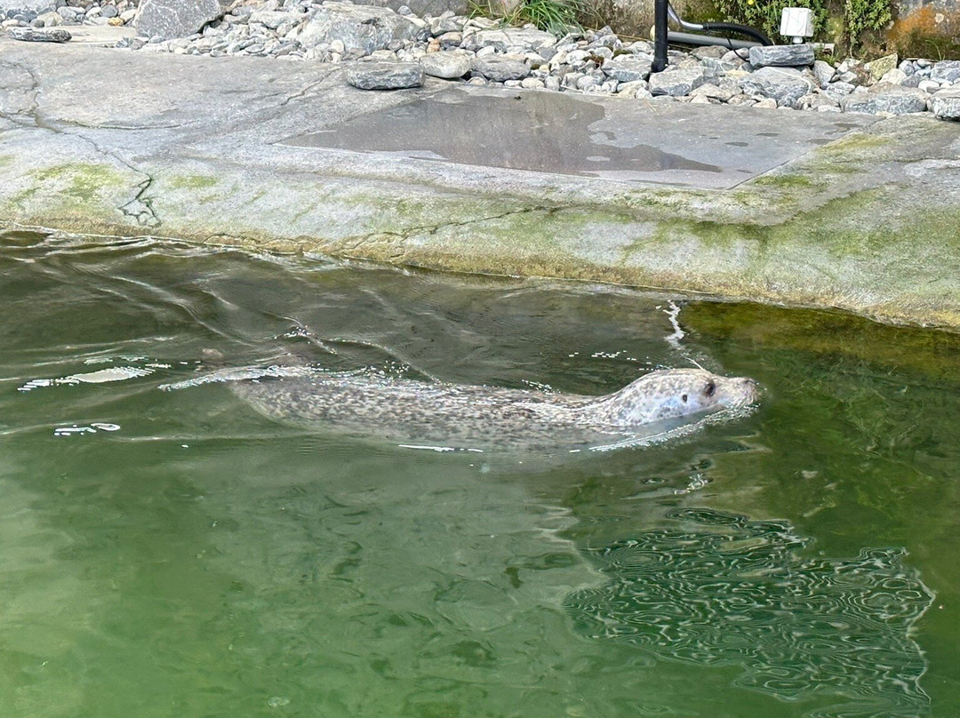 Tierpark Bern-伯尔尼必去景点