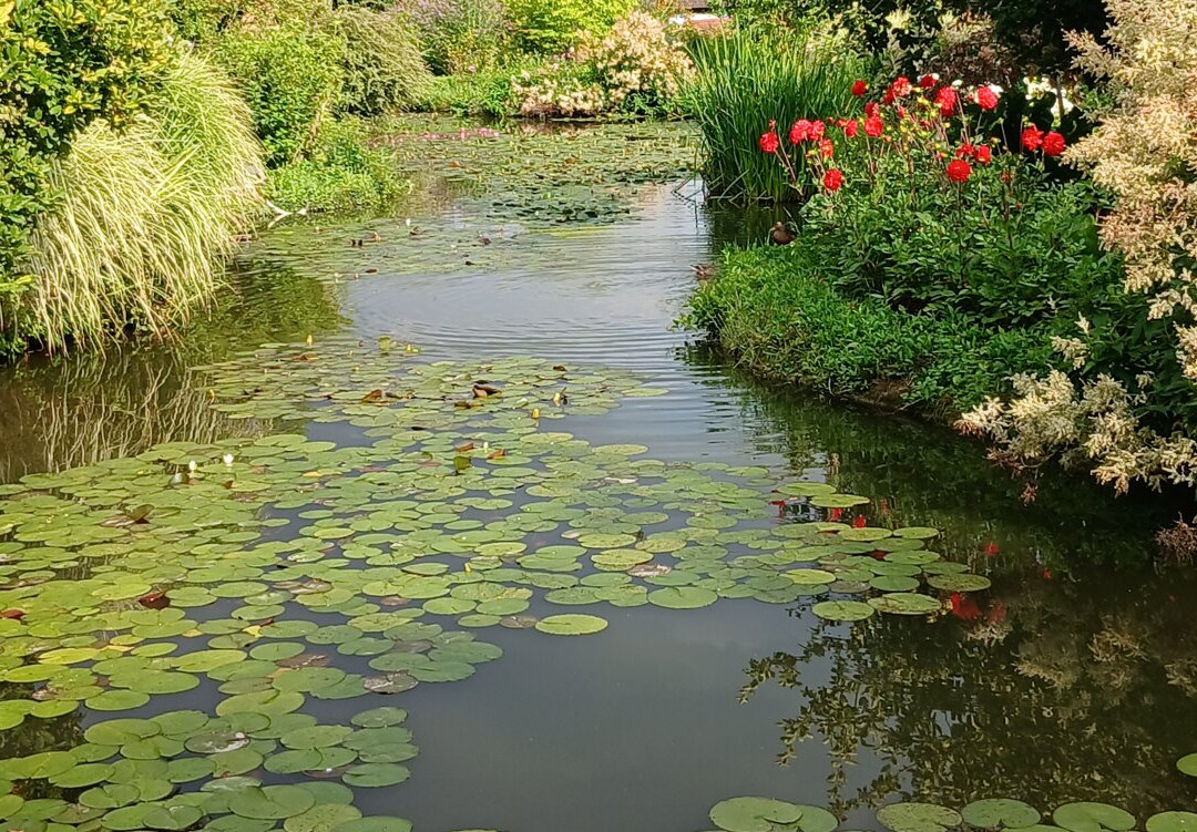 Jardin du Peintre Andre Van Beek-Saint-Paul必去景点