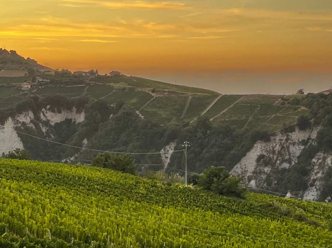 Meet Piemonte-Nizza Monferrato必去景点