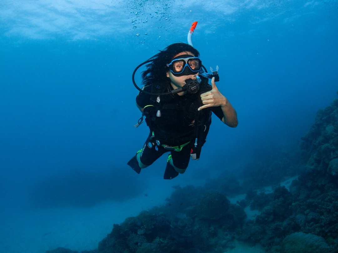 Reef Encounter-凯恩斯必去景点