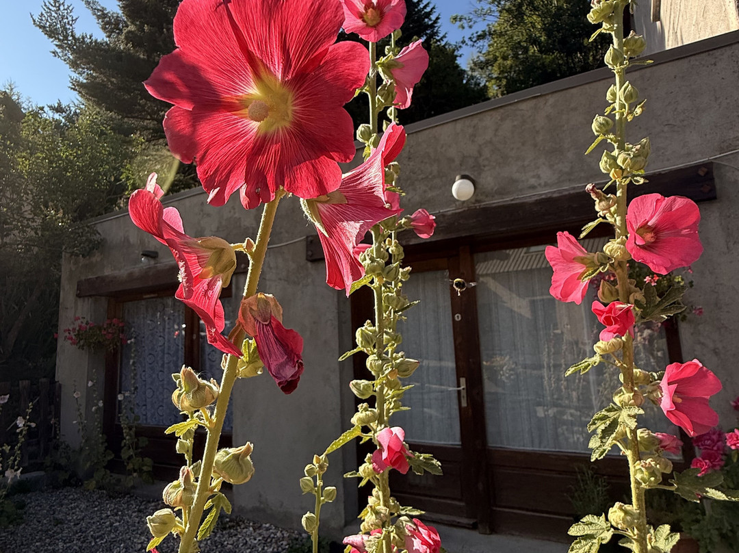 Hotel Le Serac主图