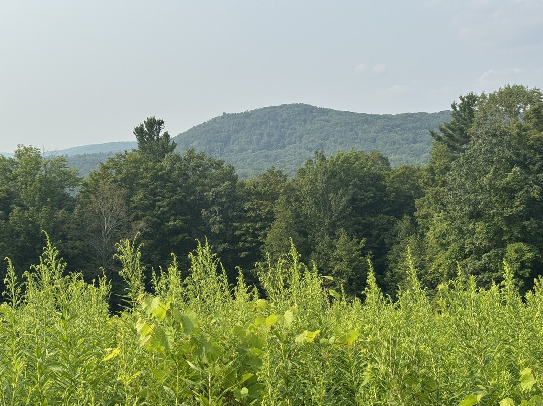Ashintully Gardens-Tyringham必去景点
