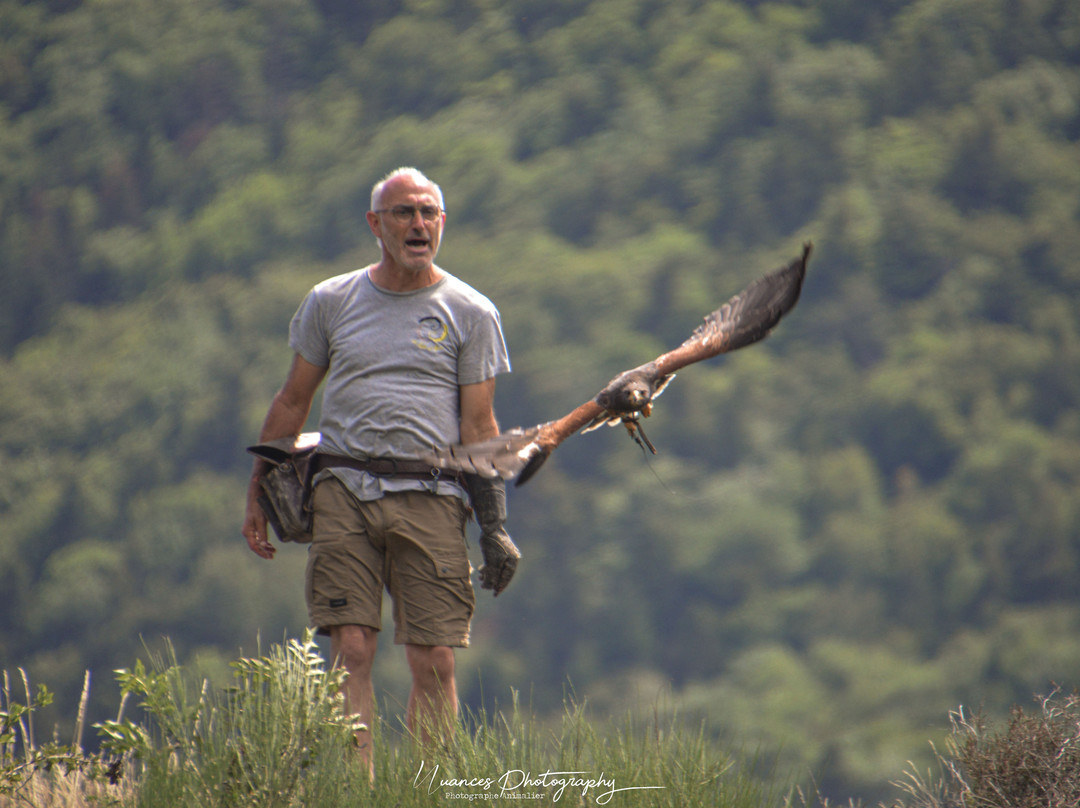 Les Aigles d'Aure - Volerie des Pyrenees-Arreau必去景点