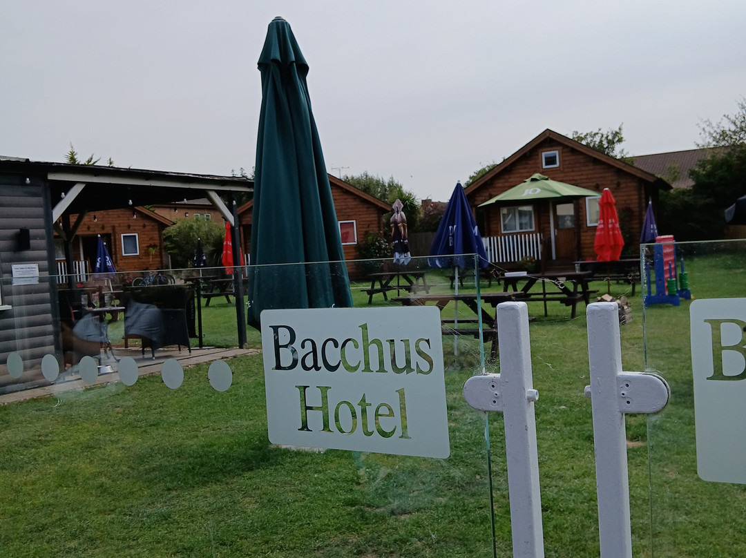 The Bacchus Hotel主图