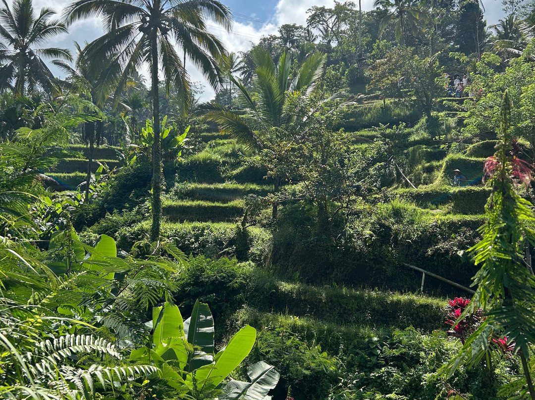 Bali Top Travels-登巴萨必去景点