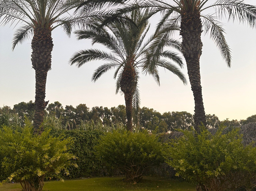 Archeo Hotel Small Unique主图