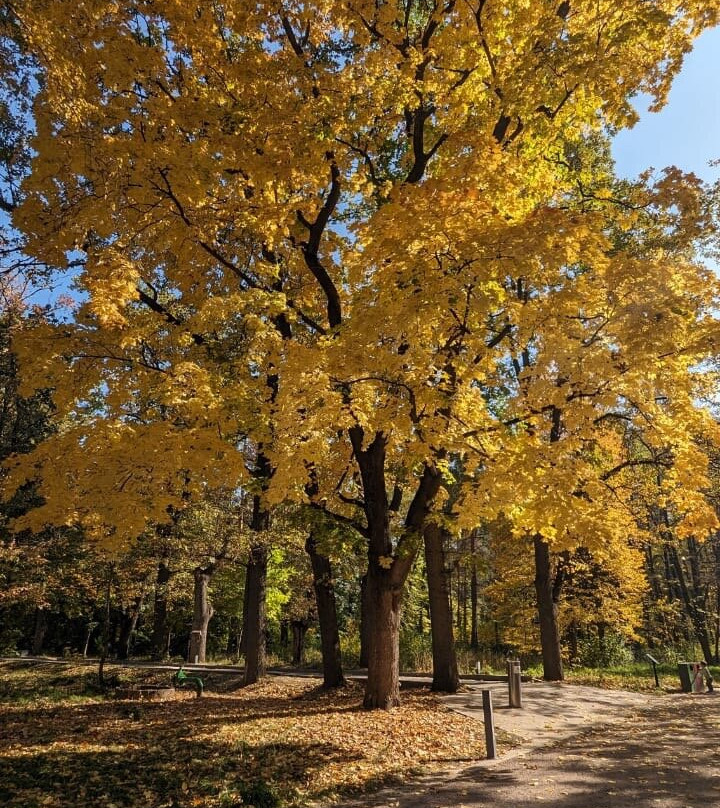 The Botanical Garden-阿拉木图必去景点
