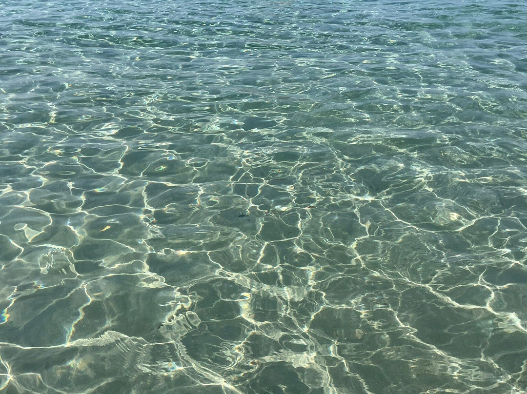 Platja de Cala d'Hort-桑特霍塞普德萨塔莱阿必去景点