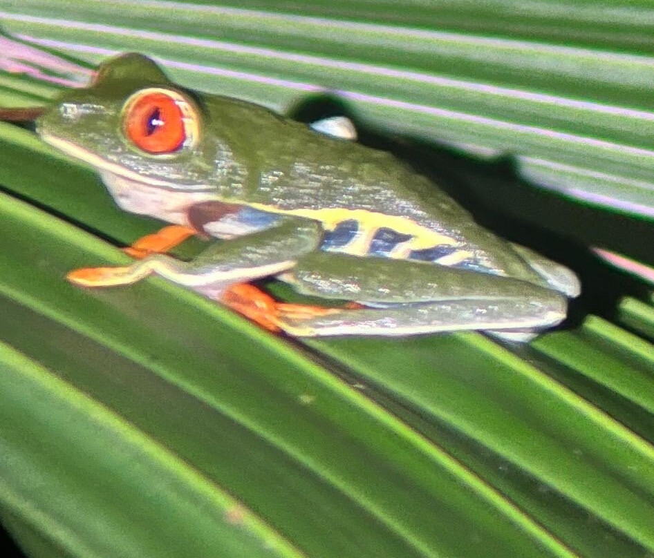 Arenal Vida Campesina-福德圣卡洛斯必去景点