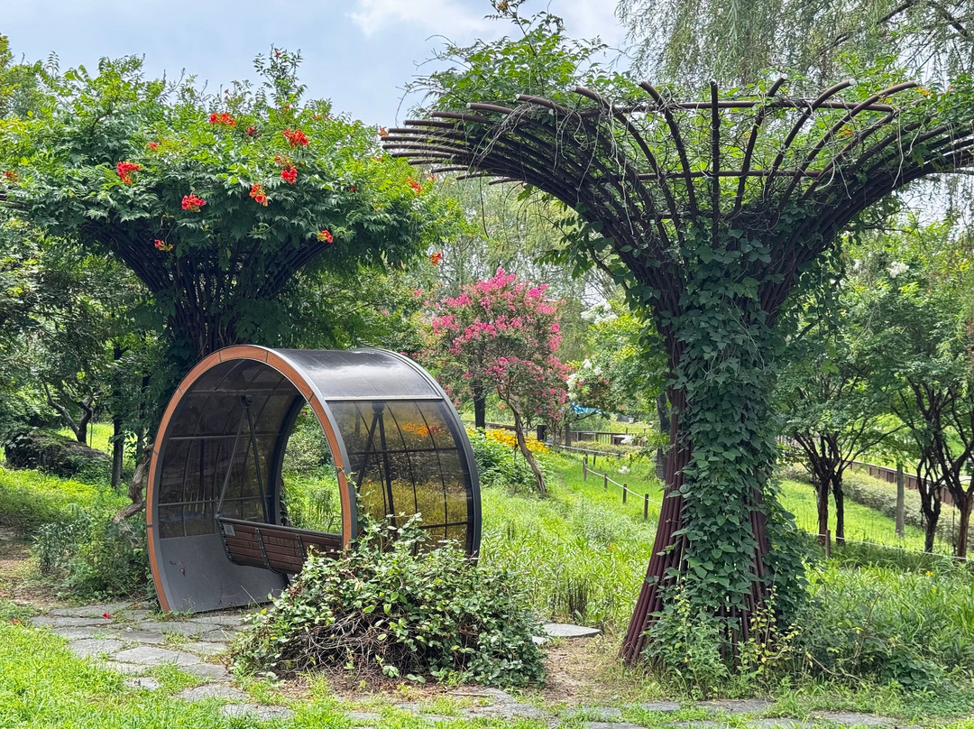 Hanbat Arboretum-大田必去景点