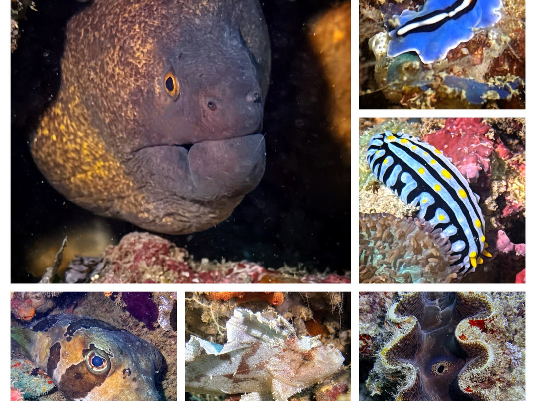 Scuba Duka-迪亚尼必去景点