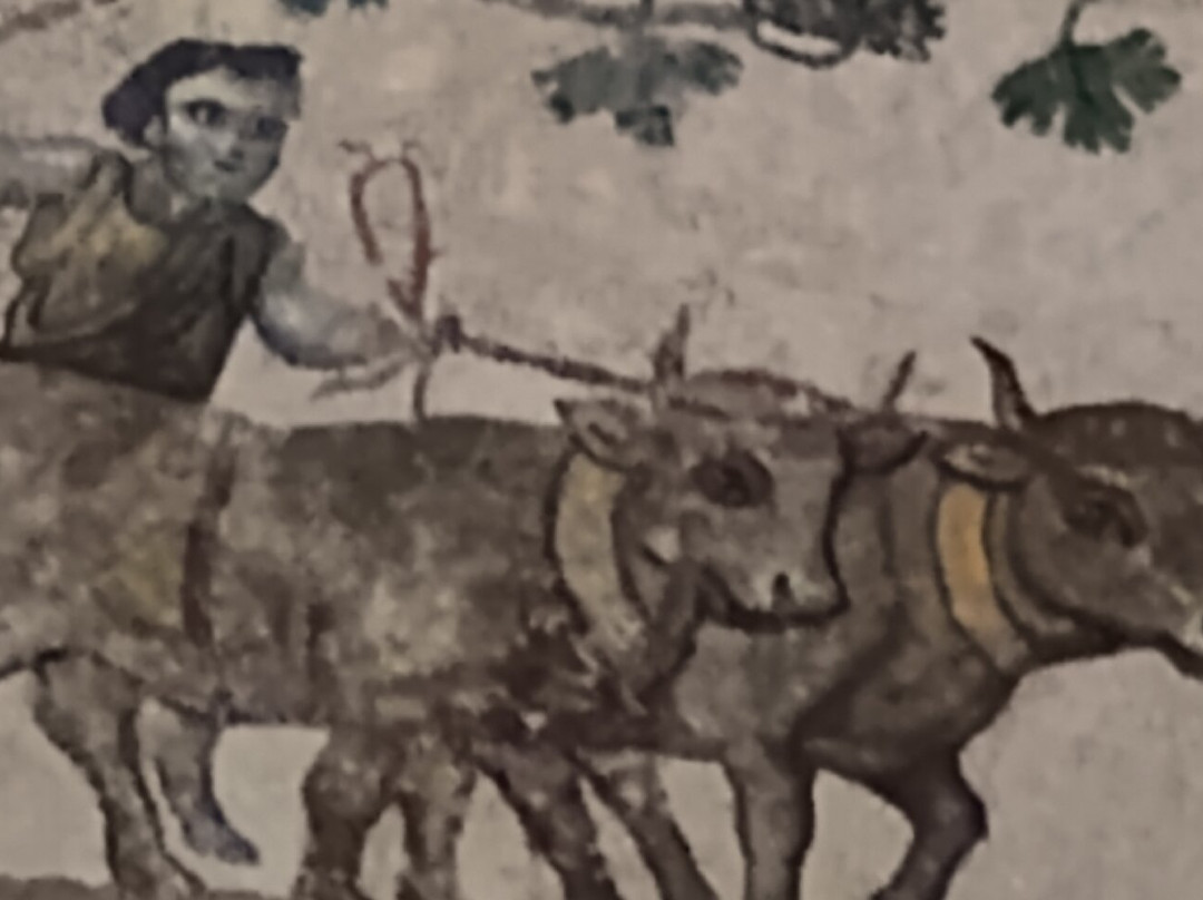 圣·康斯坦齐亚大教堂-罗马必去景点