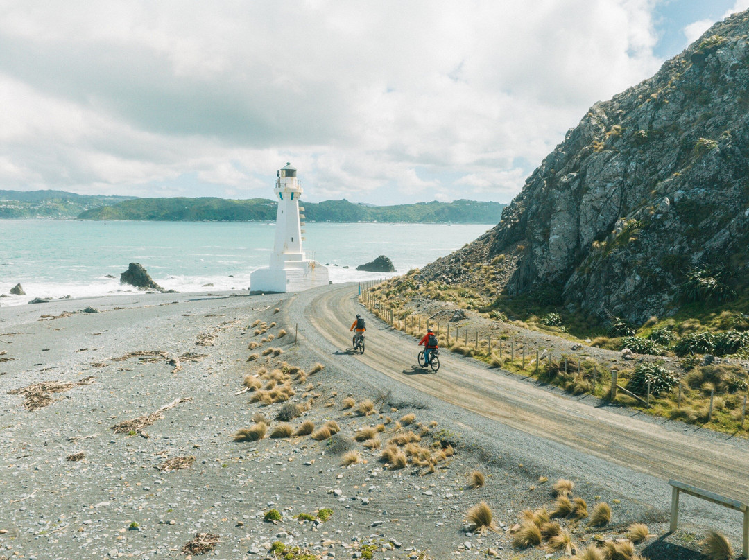 Wildfinder-惠灵顿必去景点