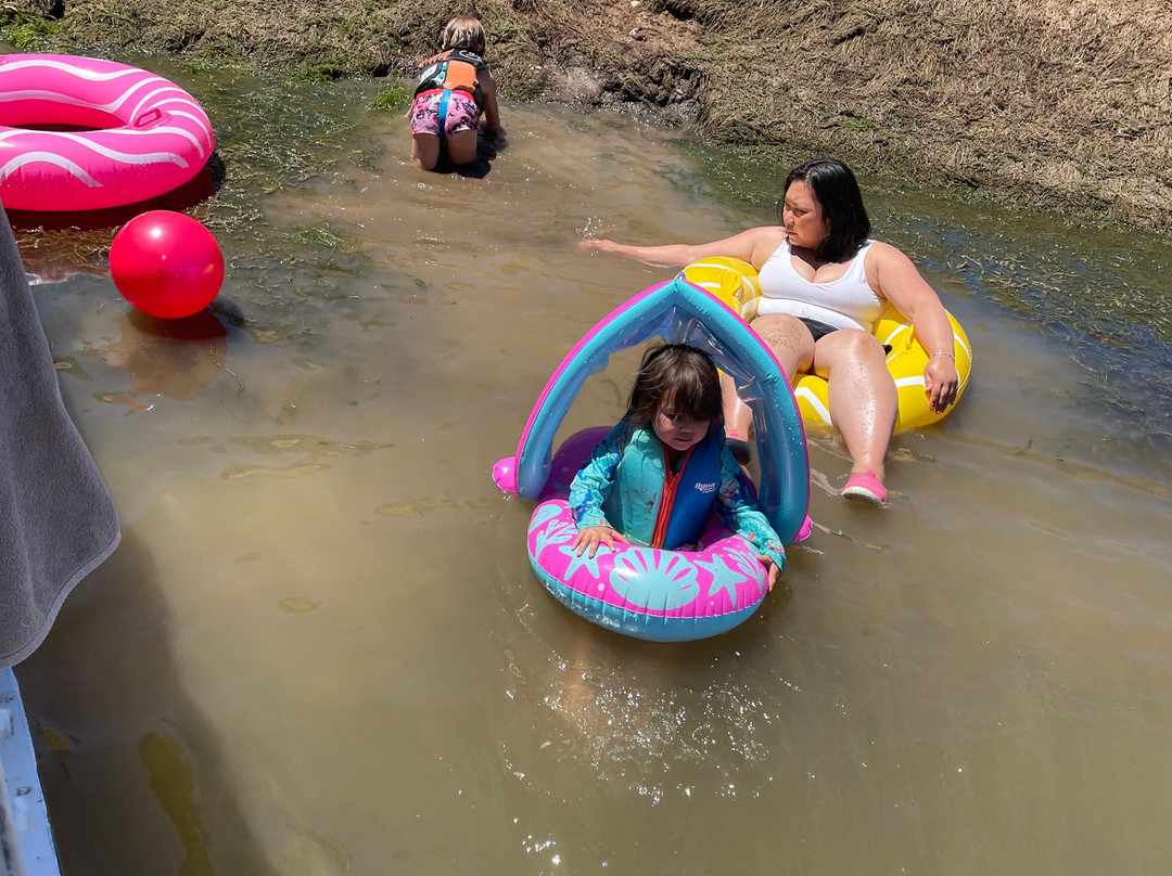 New Melones Lake Marina-Angels Camp必去景点