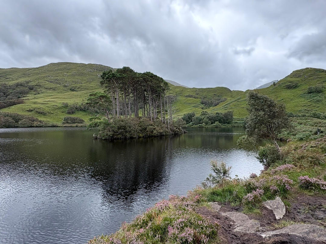 Eilean Na Moine. Dumbledore's Grave-Glenfinnan必去景点