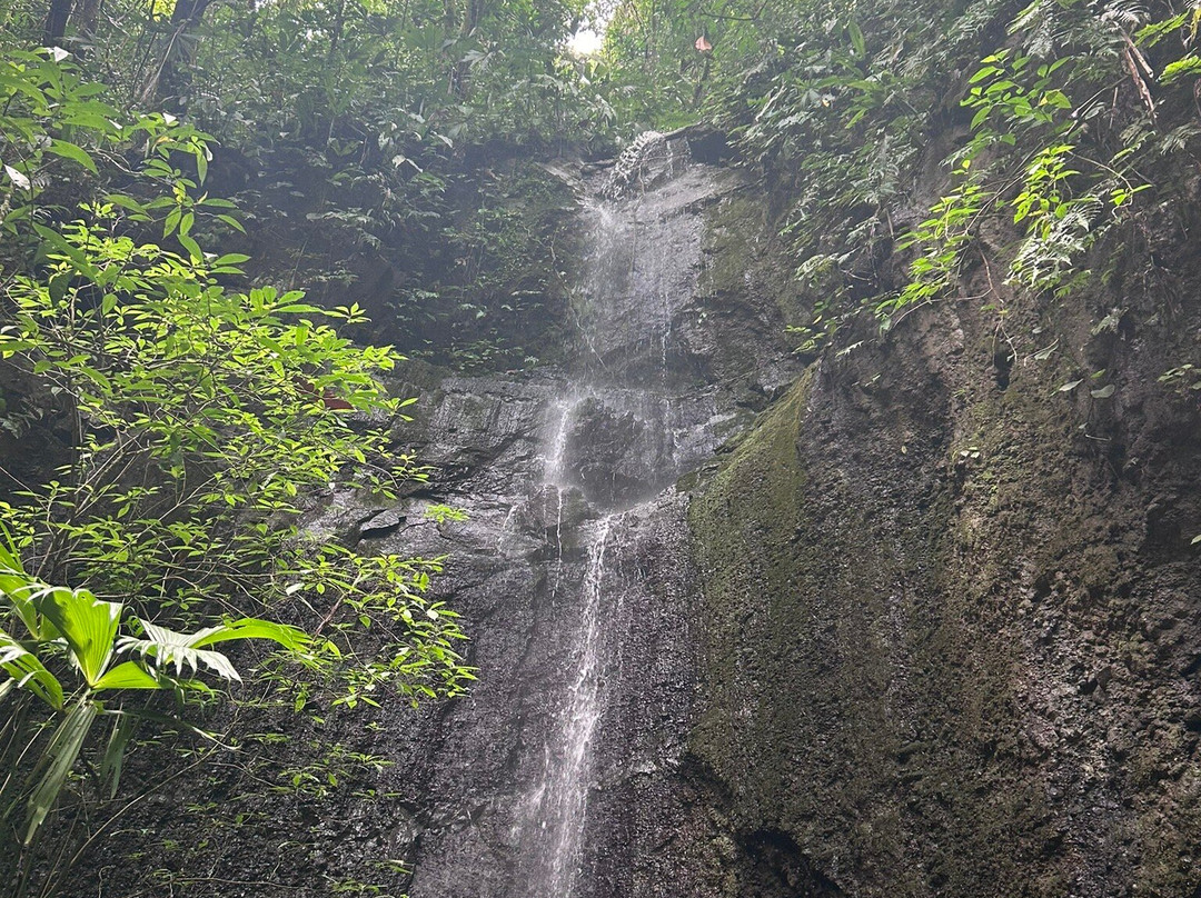 Osa Dreamcatcher Tours-希门尼斯港必去景点