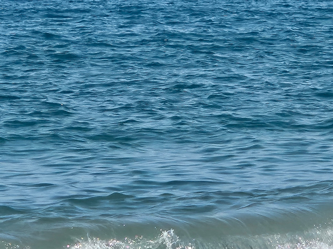 Puerto de la Duquesa-马尼尔瓦必去景点