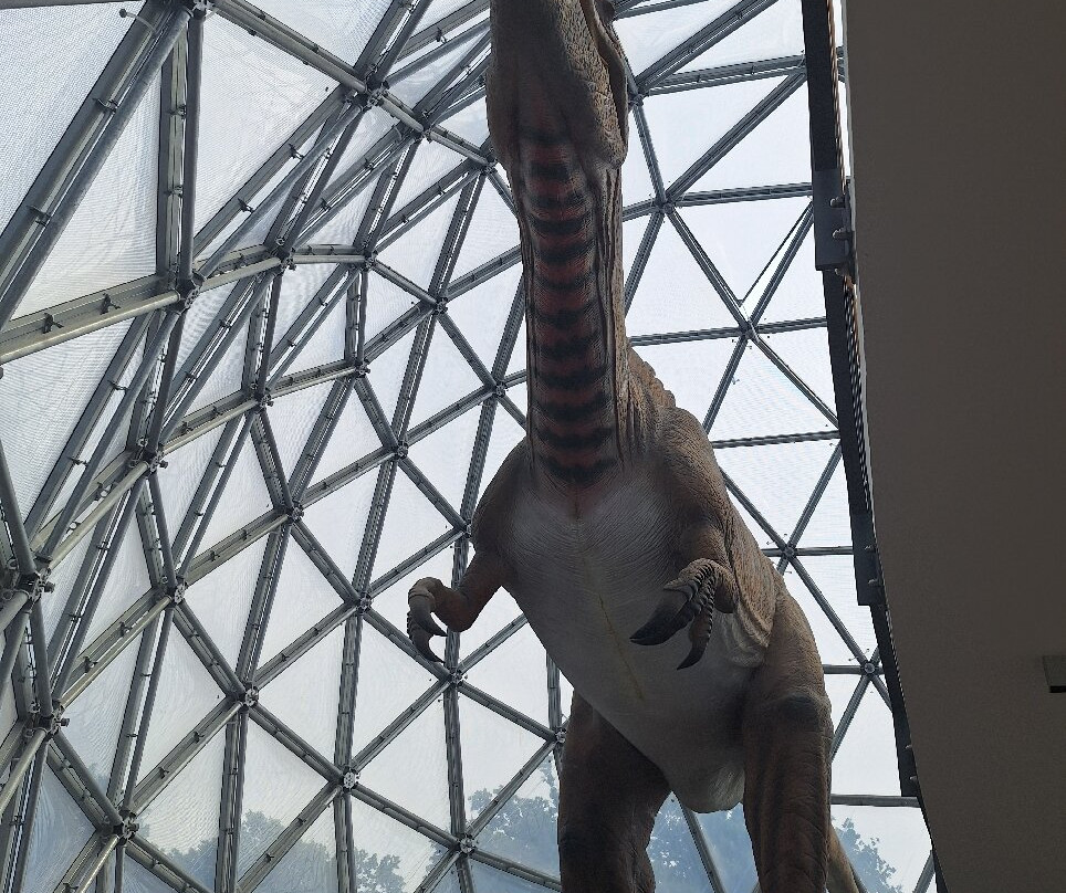 Saurier Park-Bautzen必去景点