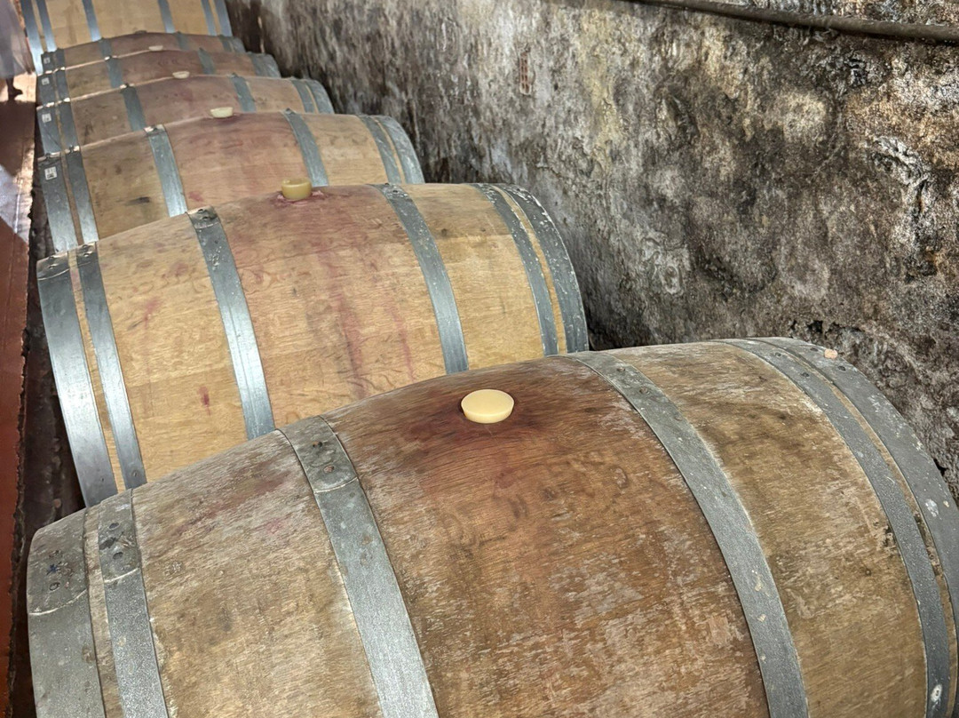 Tenuta Di Ghizzano-Ghizzano必去景点