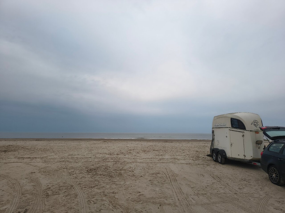 Vejers Strand-Vejers Strand必去景点