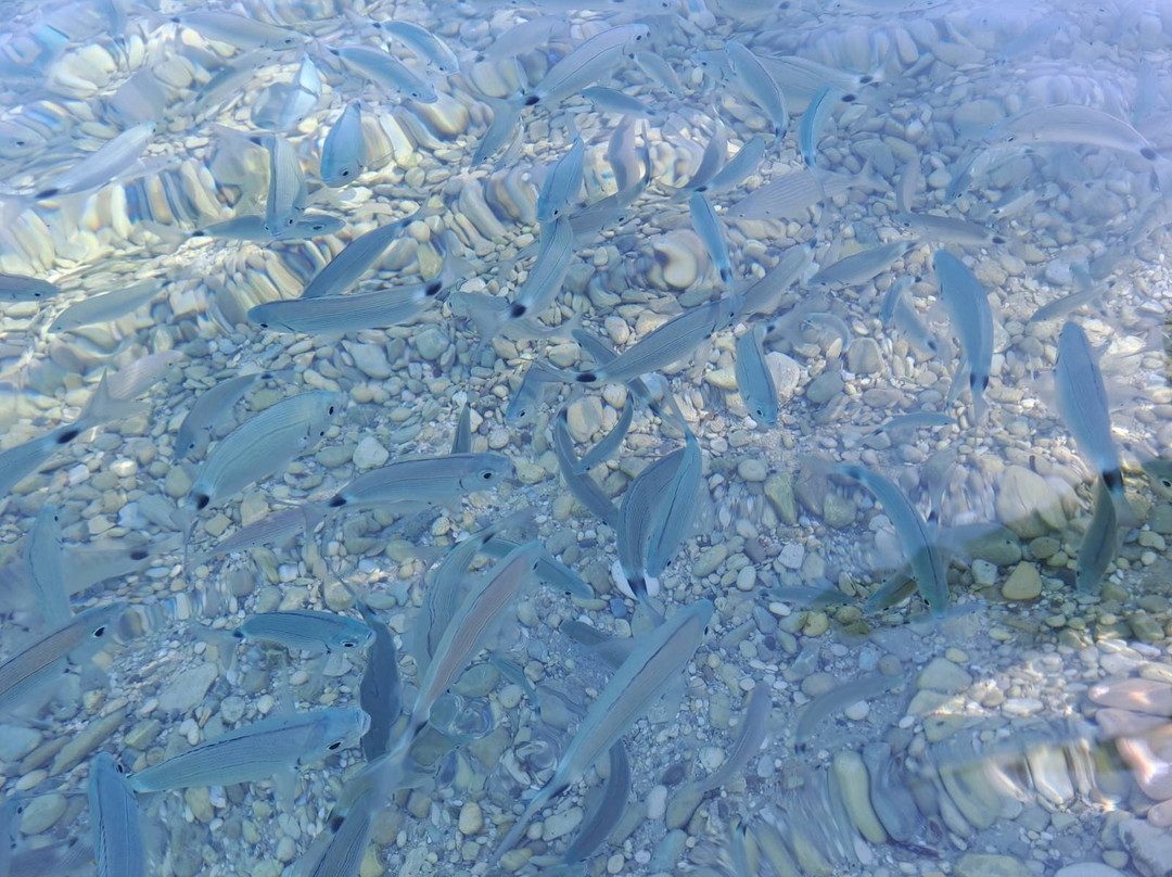 Fanari Beach-Meganisi必去景点