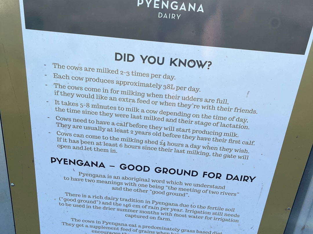Pyengana Dairy-Pyengana必去景点