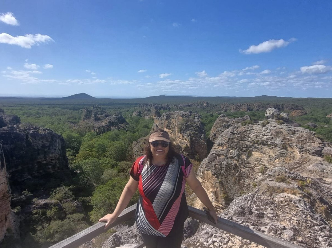 Parque Nacional de Sete Cidades-皮奥伊州必去景点