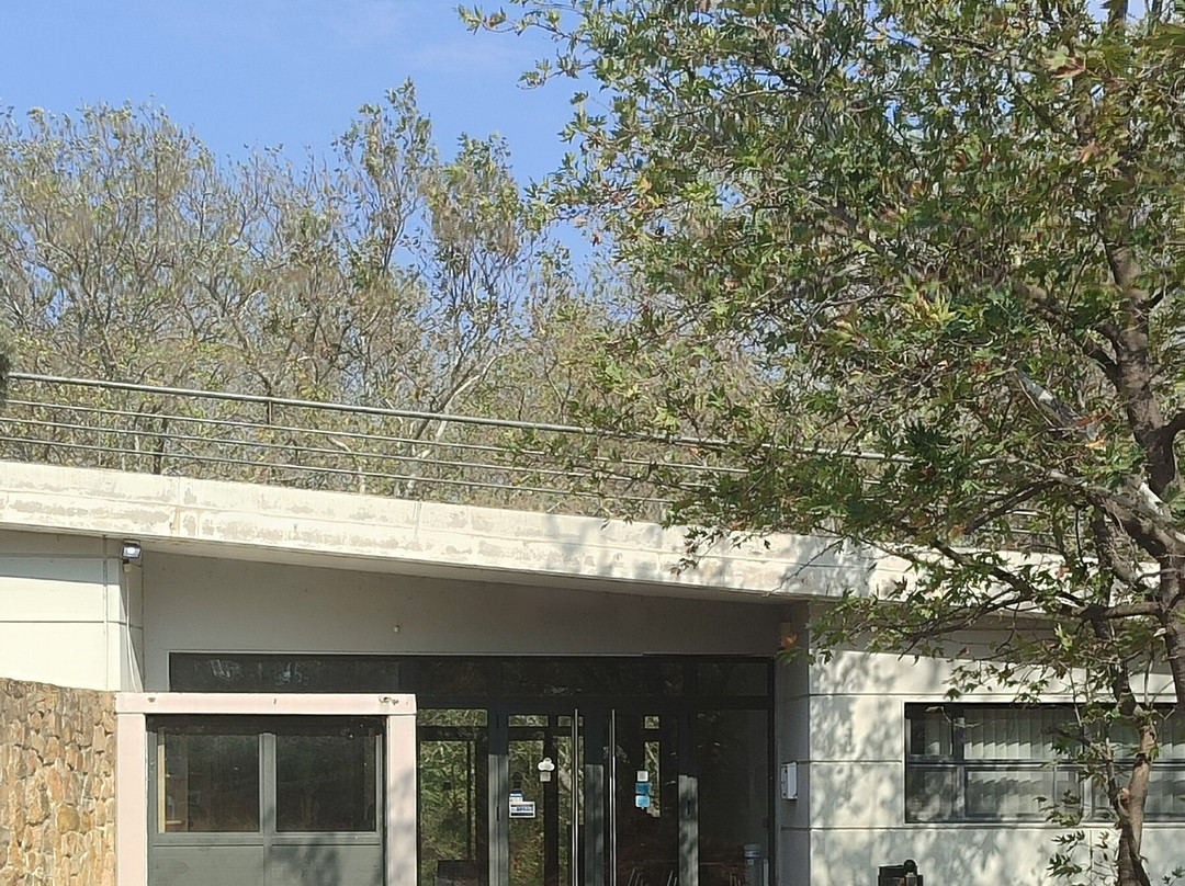 Alexandroupolis Natural History Museum-亚历山德鲁波利必去景点