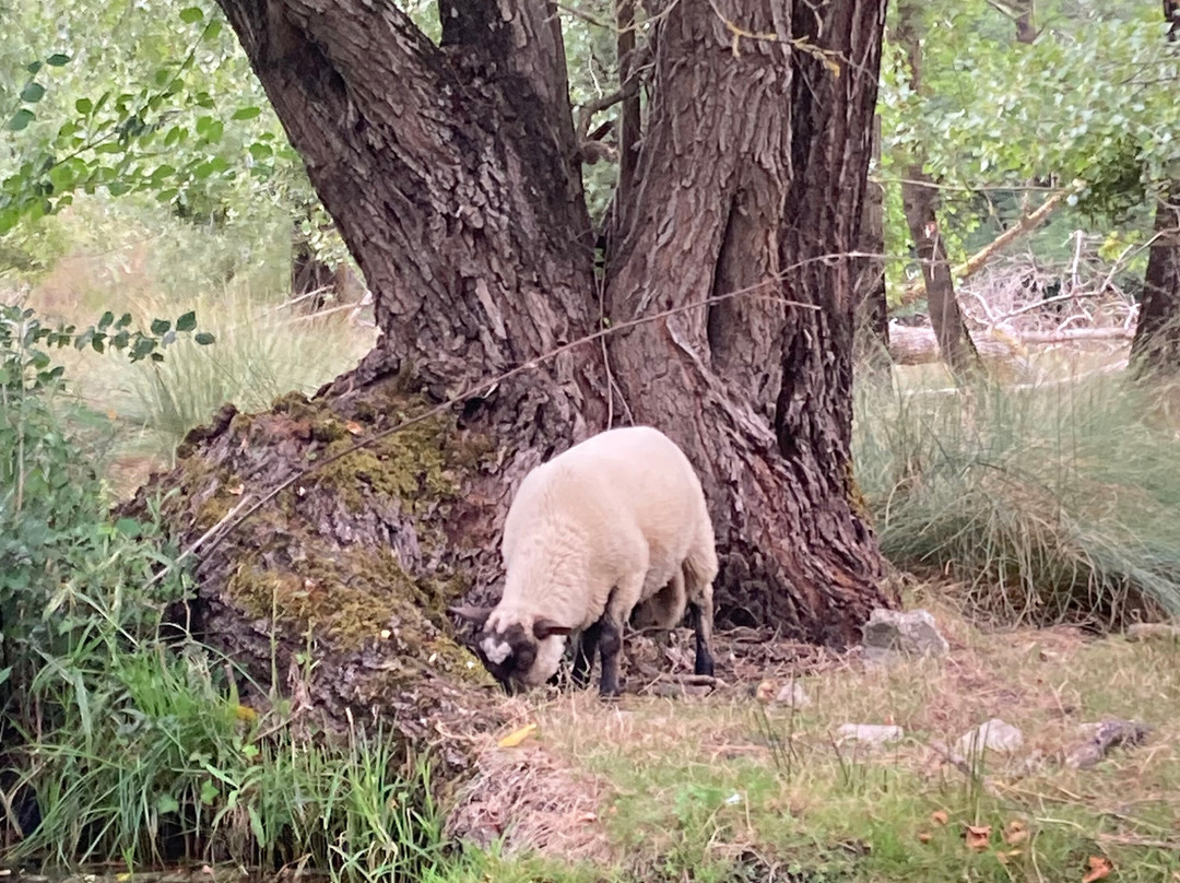 La Riviere de Chauvignac-Chenac-Saint-Seurin-d'Uzet必去景点