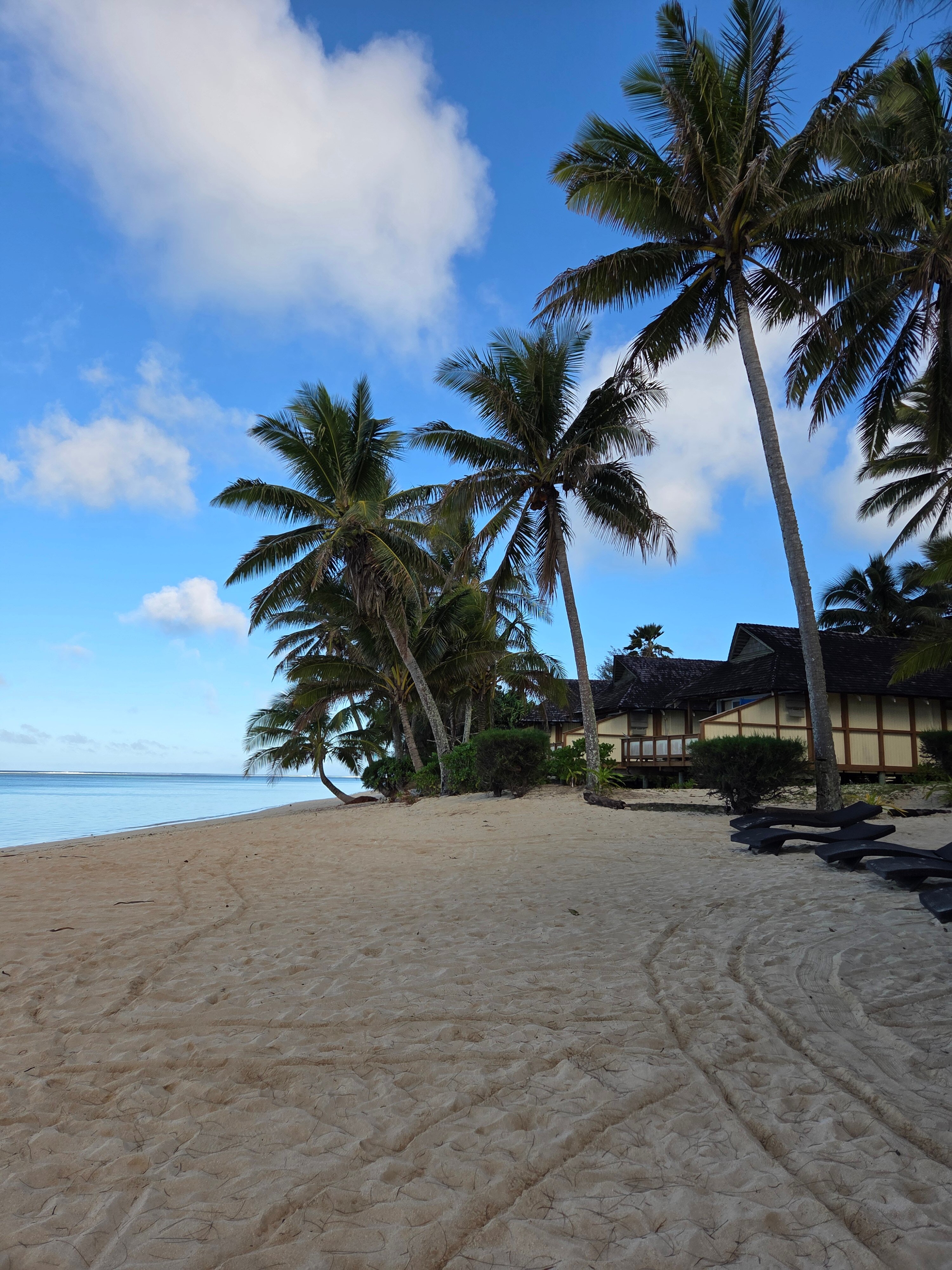 棕榈树林酒店-官方