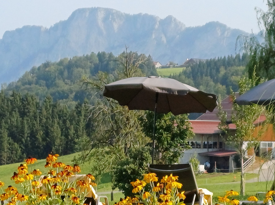Landhotel Prielbauer主图