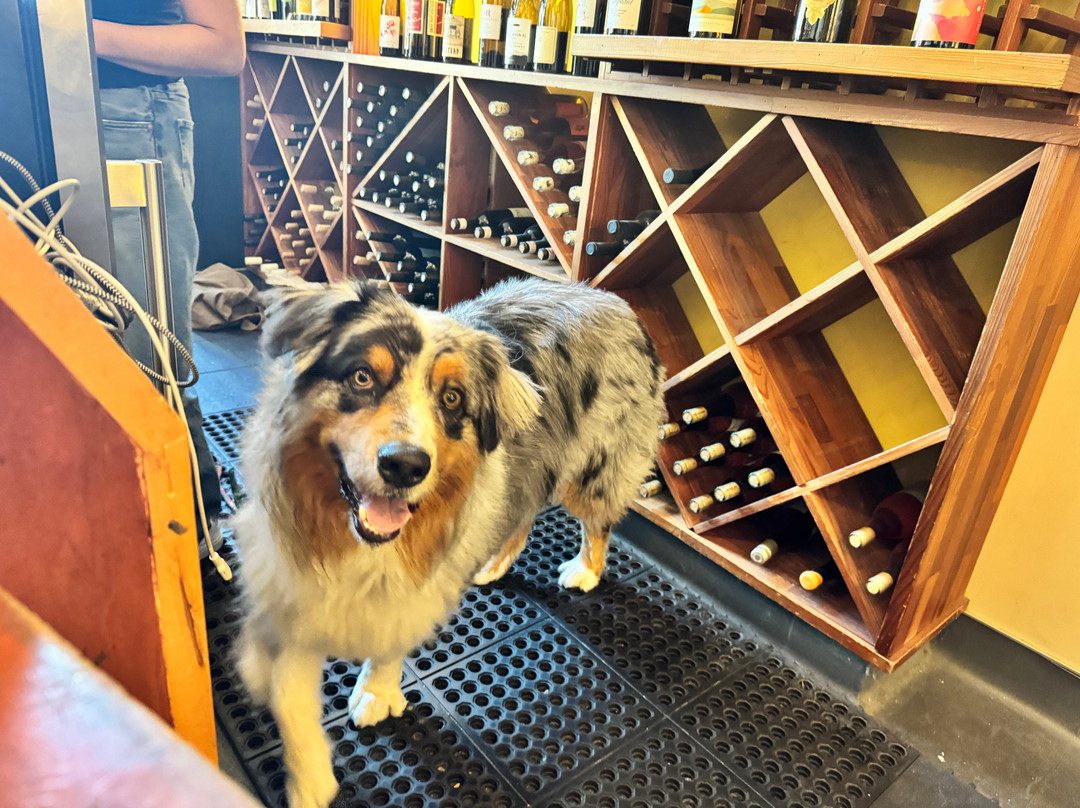 Bacchus & Venus-索萨利托必去景点