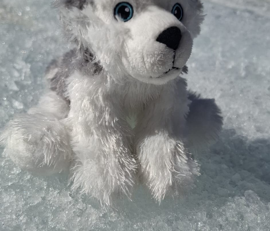 Athabasca Glacier-贾斯珀国家公园必去景点