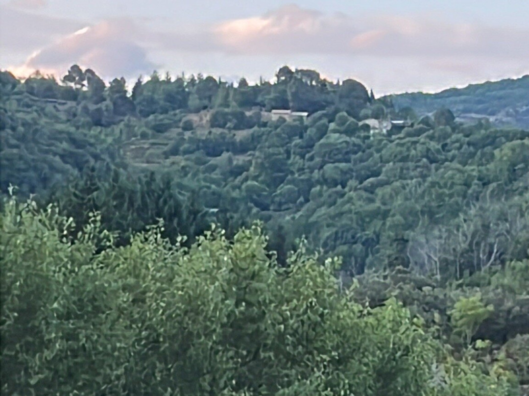 Hotel du Levant主图